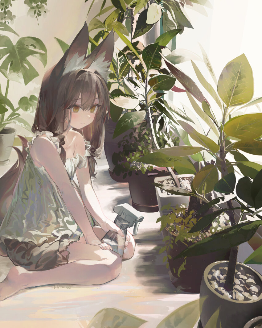 1girl absurdres animal_ear_fluff barefoot black_shorts bottle brown_eyes brown_hair camisole fox_girl fox_tail highres holding indoors long_hair low-tied_long_hair low_twintails mirae283 on_floor original plant potted_plant short_shorts shorts sitting smile solo spray_bottle tail twintails wariza white_camisole