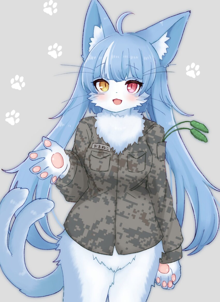 1boy ahoge androgynous animal_ear_fluff animal_hands blush bottomless camouflage camouflage_shirt cat_boy cattail commentary_request cowboy_shot furry furry_male grey_background heterochromia highres japan_air_self-defense_force japan_air_self-defense_force_omaezaki_sub-base japan_self-defense_force long_hair looking_at_viewer male_focus military mokumokuuma omaneko open_mouth paw_print paw_print_background plant red_eyes shirt slit_pupils smile solo forked_tail trap whiskers yellow_eyes