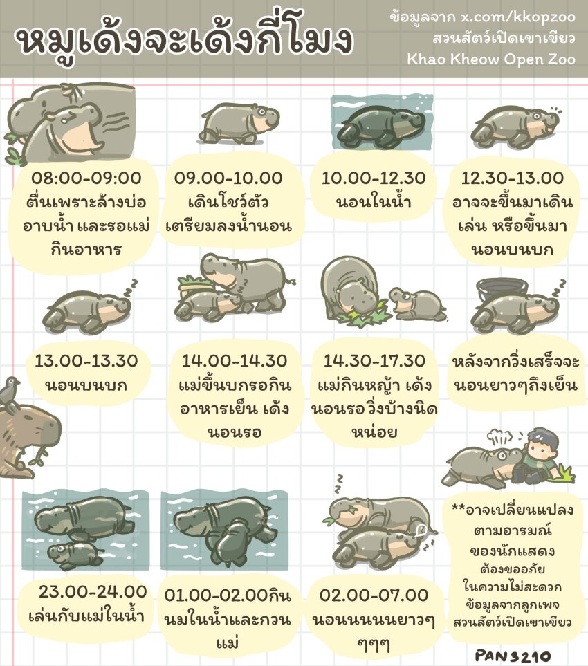 1boy atthapon_nundee baby_animal bird black_eyes black_footwear black_hair boots capybara commentary_request eating green_shirt highres hippopotamus jonah_(pygmy_hippo) moo_deng notice_lines open_mouth pan3210 real_life shirt sleeping smile swimming thai_text translation_request underwater watermark web_address zzz