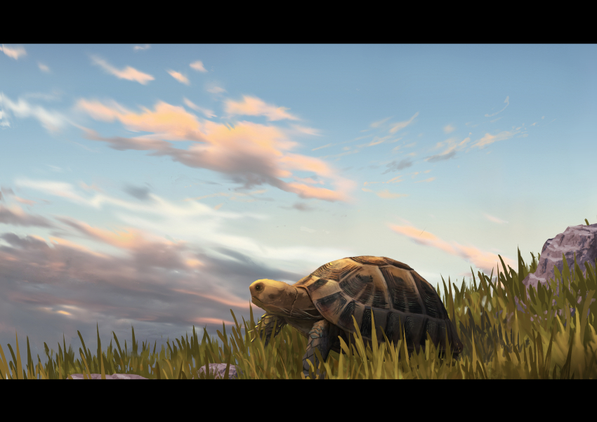 absurdres animal animal_focus blue_sky cloud cloudy_sky evening grass highres no_humans original outdoors sky sumassha_t_t tortoise turtle