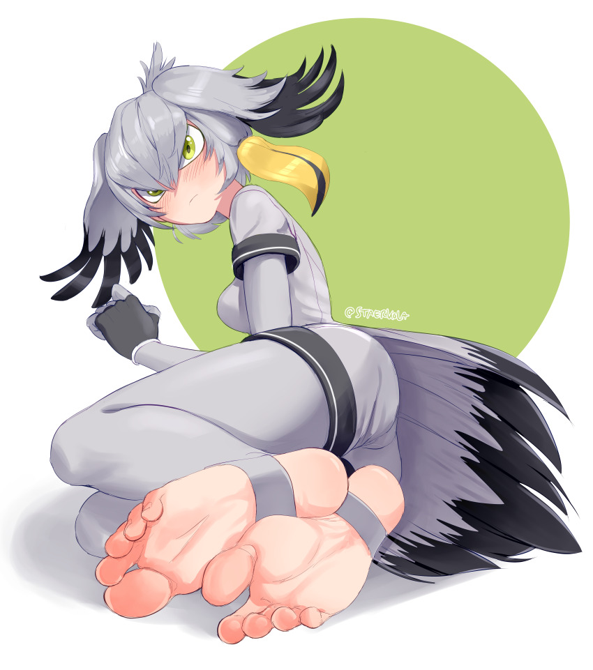 1girl absurdres ass bird_tail black_gloves black_hair blush breasts closed_mouth commentary commission english_commentary feet fingerless_gloves foot_focus foreshortening gloves green_background green_eyes grey_hair grey_pantyhose grey_shirt grey_shorts hair_between_eyes hand_up head_wings highres kemono_friends legs legs_together looking_at_viewer looking_back lying medium_breasts medium_hair multicolored_hair no_shoes on_side pantyhose shadow shirt shoebill_(kemono_friends) short_sleeves shorts simple_background soles solo staerk stirrup_legwear streaked_hair tail thighs toeless_legwear toenails toes twitter_username two-tone_background white_background wings