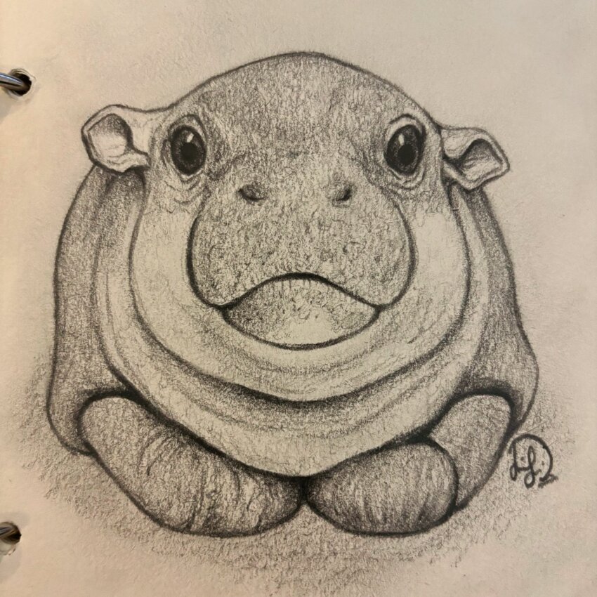 animal_focus commentary english_commentary graphite_(medium) greyscale highres hippopotamus looking_at_viewer monochrome moo_deng no_humans photo_(medium) real_life signature sitting straight-on thelaili_malek traditional_media