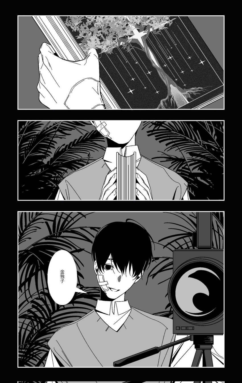 1boy 1other :d bandage_on_face bandaged_wrist bandages benkdjjituibot black_background black_eyes black_hair book camera chinese_text collared_shirt greyscale head_tilt highres holding holding_book inset_border looking_at_viewer monochrome multiple_views oldest_dream omniscient_reader&#039;s_viewpoint open_mouth shirt silhouette smile sparkle speech_bubble tree vest white_shirt