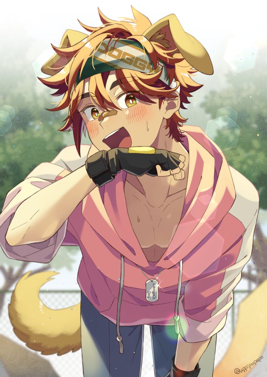 1boy absurdres animal_ears bandaid bandaid_on_face bandaid_on_nose black_gloves blush dog_boy dog_ears dog_tail fingerless_gloves gloves grey_pants headband highres hood hoodie kyan_reki long_sleeves male_focus orange_eyes pants pink_hoodie red_hair short_hair sk8_the_infinity solo tail uppi yellow_tail