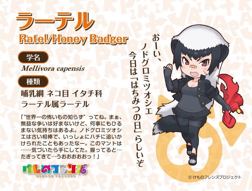 1girl animal_ears extra_ears highres kemono_friends looking_at_viewer official_art ratel_(kemono_friends) simple_background solo tail yoshizaki_mine