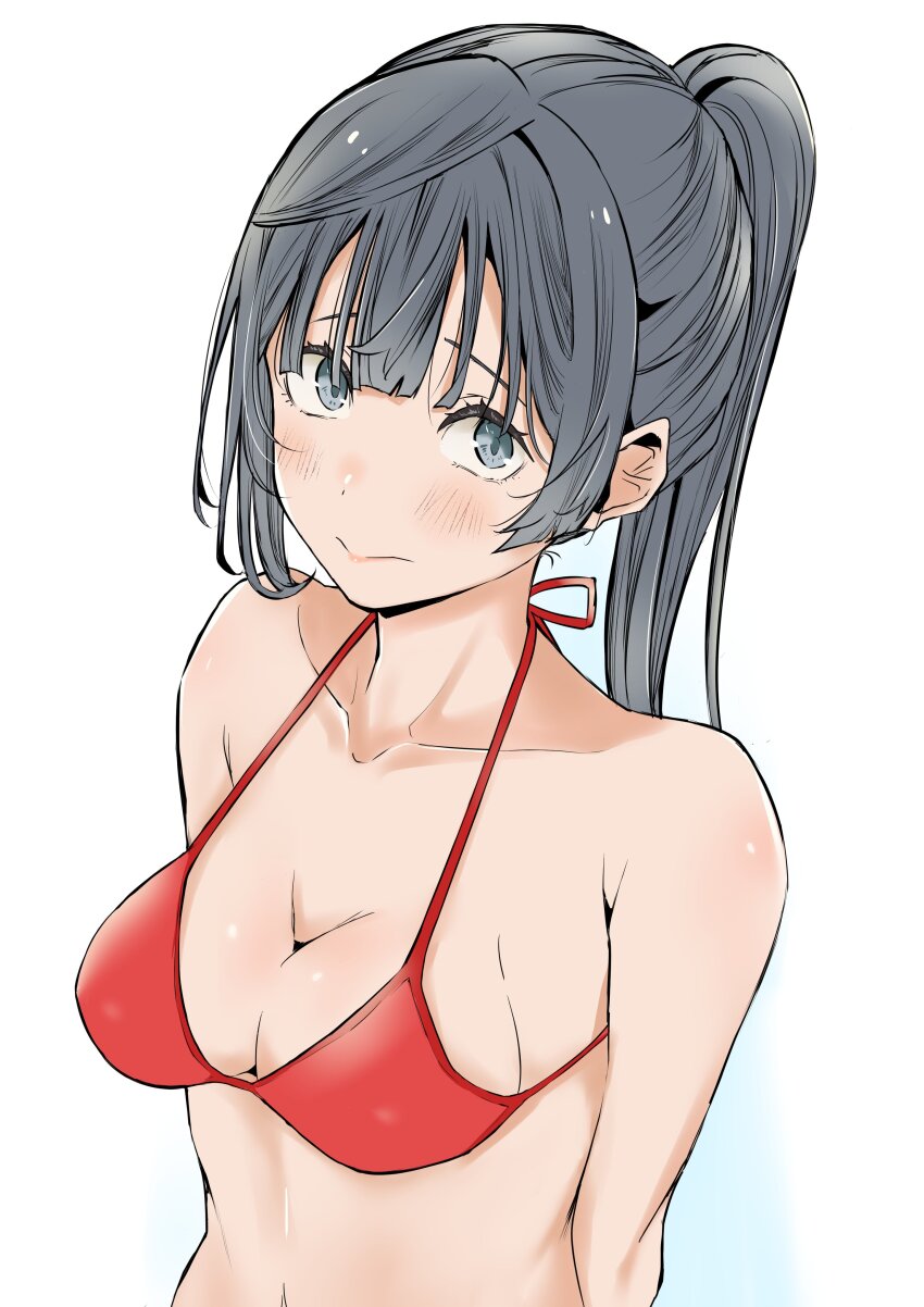 1girl absurdres alternate_hairstyle bikini blush breasts cleavage closed_mouth commentary_request furrowed_brow grey_eyes grey_hair highres looking_at_viewer love_live! love_live!_nijigasaki_high_school_idol_club medium_breasts midriff navel ponytail portrait red_bikini sidelocks solo swimsuit tommer upper_body yuki_setsuna