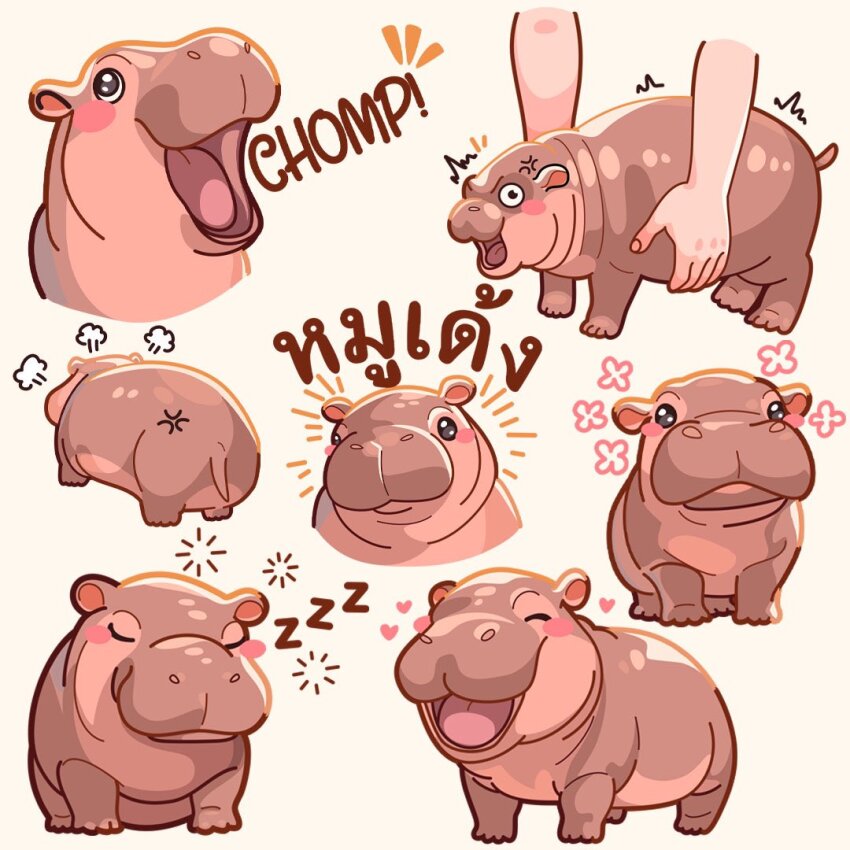 anger_vein animal black_eyes blush commentary english_commentary heart hippopotamus holding holding_animal looking_at_viewer moo_deng multiple_views no_humans nonagallery_art notice_lines open_mouth real_life thai_text v-shaped_eyebrows zzz