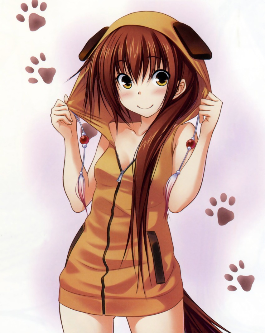 1girl absurdres animal_hood blush breasts brown_hair cleavage dog_tail female_focus hair_over_shoulder highres hood hoodie huge_filesize kawagishi_keitarou kawakami_kazuko long_hair looking_at_viewer maji_de_watashi_ni_koi_shinasai! maji_de_watashi_ni_koi_shinasai!_s naked_hoodie paw_print scan sleeveless sleeveless_hoodie small_breasts smile solo tail yellow_eyes zipper