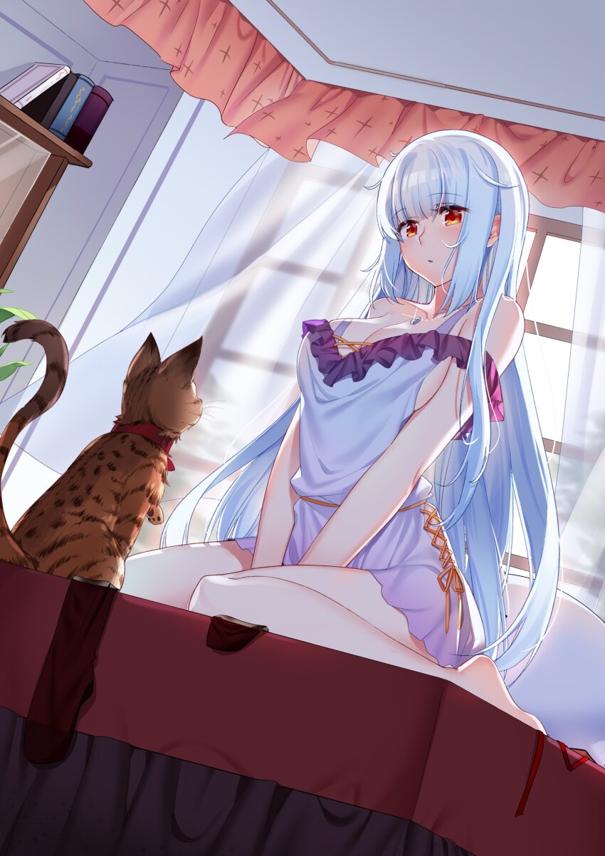 1girl absurdres aer_(tengqiu) alternate_costume alternate_hairstyle animal bare_shoulders barefoot bed bedroom between_legs blue_hair blunt_bangs book breasts cat cleavage collarbone curtains dress dutch_angle essex_(warship_girls_r) highres indoors jewelry large_breasts long_hair looking_at_viewer necklace on_bed pillow red_eyes see-through_curtains sitting solo v_arms very_long_hair wariza warship_girls_r white_dress white_hair window