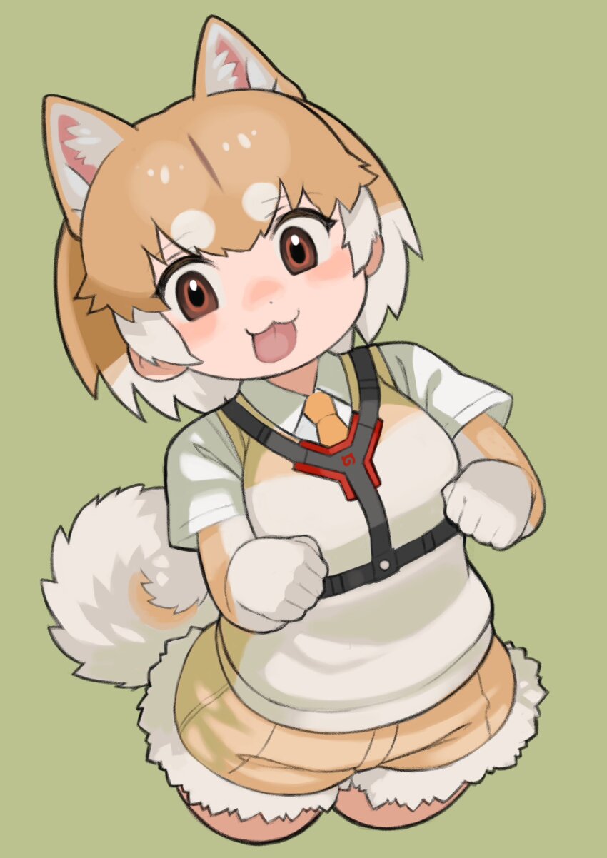 1girl animal_ears brown_eyes brown_hair dog_(shiba_inu)_(kemono_friends) dog_ears dog_girl dog_tail elbow_gloves extra_ears gloves green_background highres kemono_friends looking_at_viewer multicolored_hair necktie rinx shirt short_hair shorts simple_background solo sweater_vest tail tongue two-tone_hair white_hair