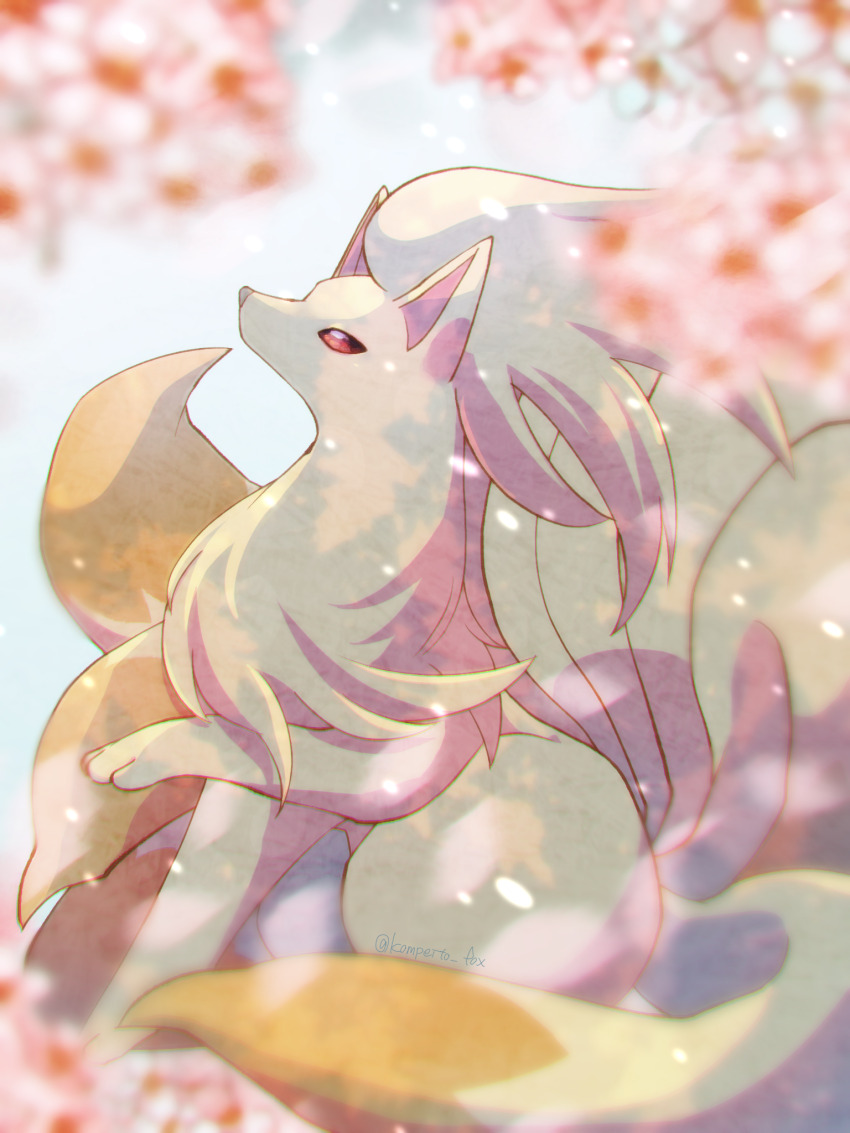 animal_focus cherry_blossoms commentary_request flower gen_1_pokemon highres kompeito_fox looking_up multiple_tails ninetales nintendo no_humans petals pink_petals pokemon pokemon_(creature) red_eyes sitting tail