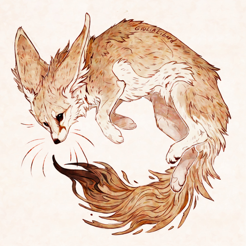 animal animal_focus fennec_fox fox full_body giulialibard highres large_ears no_humans original realistic simple_background snout solo whiskers white_background yellow_fur