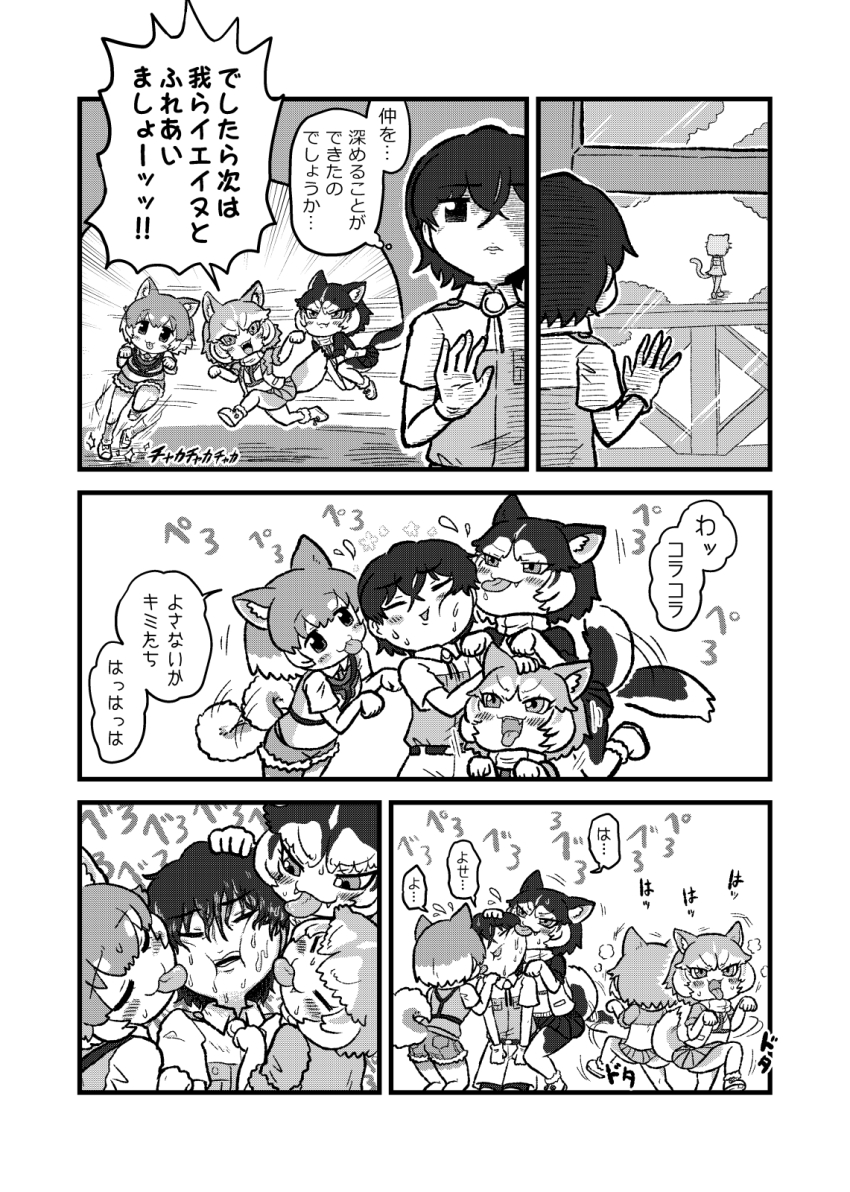 1boy 4girls animal_ears captain_(kemono_friends) cat_(kemono_friends) cat_ears cat_girl cat_tail collared_shirt dog_(mixed_breed)_(kemono_friends) dog_(shiba_inu)_(kemono_friends) dog_ears dog_girl dog_tail greyscale harness highres jacket kemono_friends kemono_friends_3 kotobuki_(tiny_life) licking monochrome multiple_girls pleated_skirt shirt short_hair short_sleeves shorts siberian_husky_(kemono_friends) skirt tail uniform