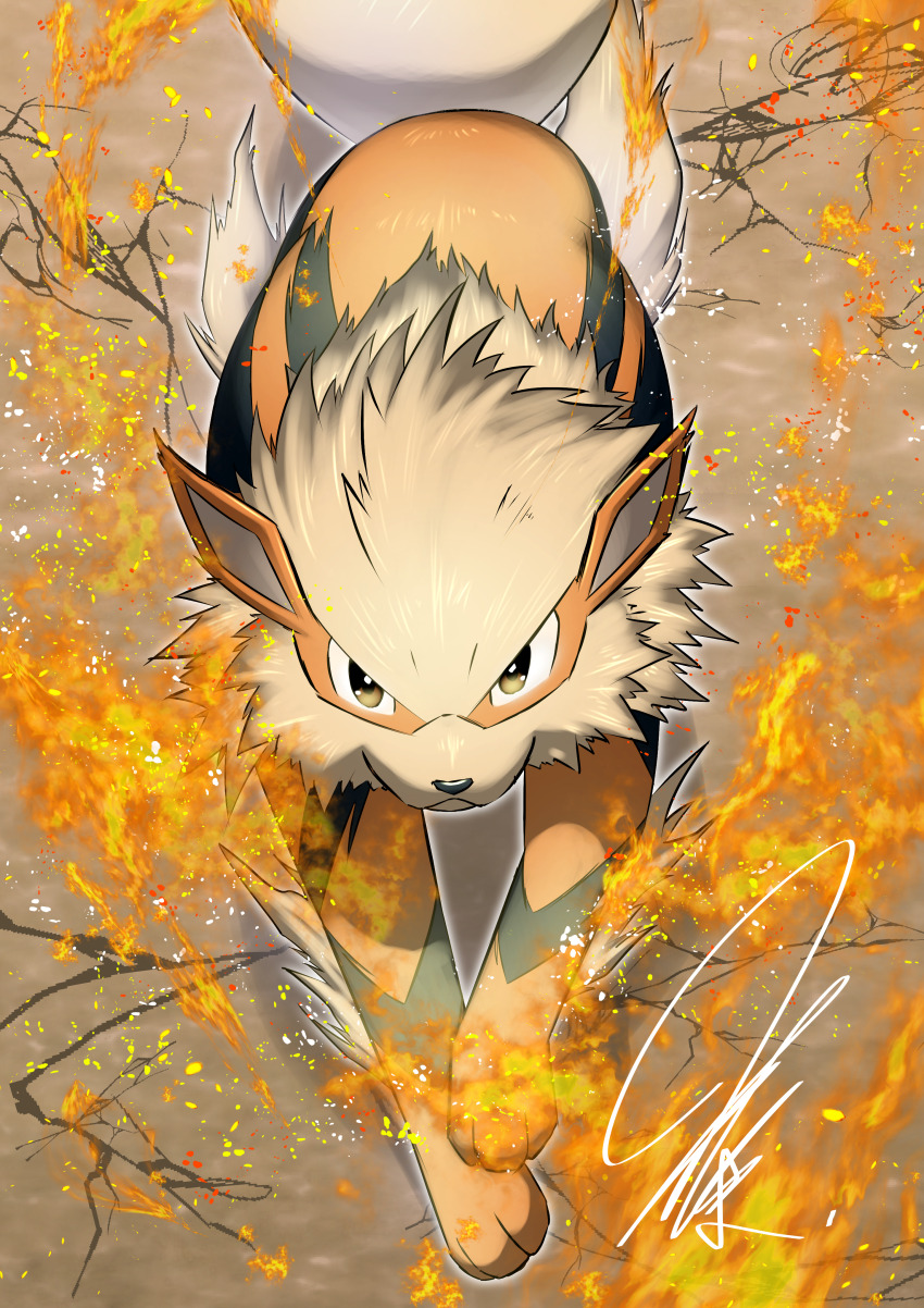 absurdres animal_hands arcanine aura black_fur black_stripes brown_eyes crack cracked_floor dynamic_pose fire fluffy from_above full_body furry gen_1_pokemon highres light_particles mitsukuma448 nintendo no_humans nose orange_fur pointy_ears pokemon pokemon_(creature) solo striped_fur tail
