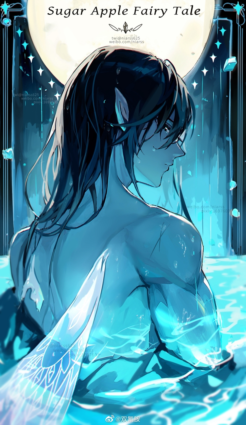 1boy black_eyes black_hair blue_theme caustics copyright_name fairy_wings highres long_hair looking_back male_focus niarss pointy_ears scar shall_fen_shall solo sugar_apple_fairy_tale topless_male water watermark web_address weibo_watermark wings