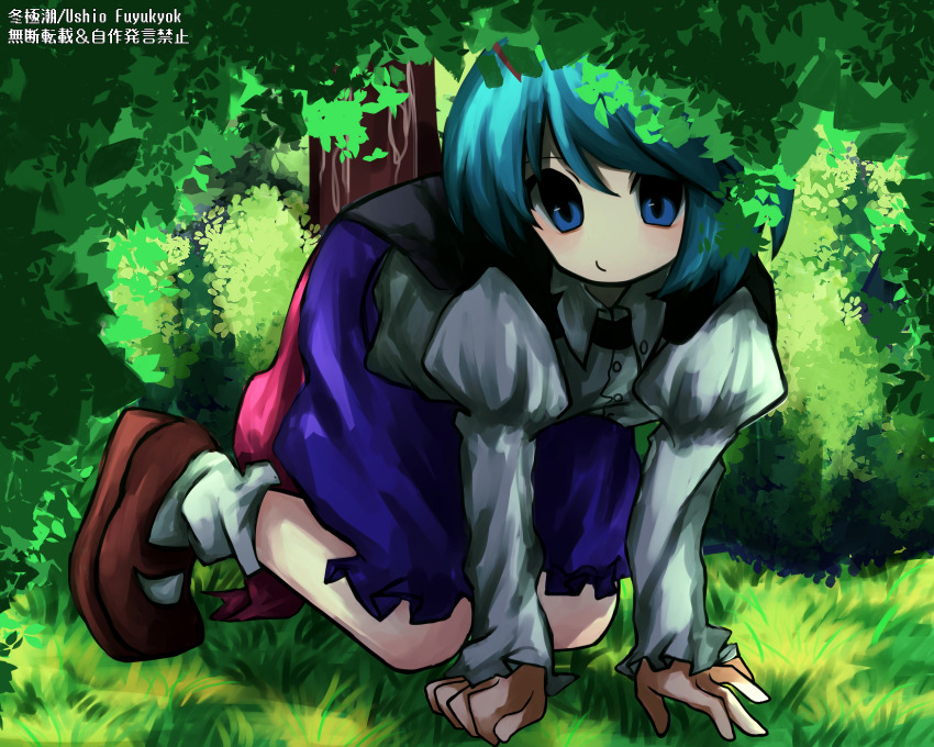 1girl absurdres all_fours black_cape blue_eyes blue_hair blush brown_shoes bush cape closed_mouth commentary full_body grass grey_shirt highres juliet_sleeves long_sleeves looking_at_viewer mary_janes ole_is_kami puffy_sleeves purple_shorts red_cape shirt shoes short_hair shorts solo touhou two-sided_cape two-sided_fabric wriggle_nightbug