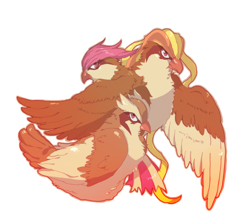 beak bird brown_eyes evolutionary_line gen_1_pokemon long_hair missaka nintendo no_humans pidgeot pidgeotto pidgey pokemon pokemon_(creature) simple_background white_background wings