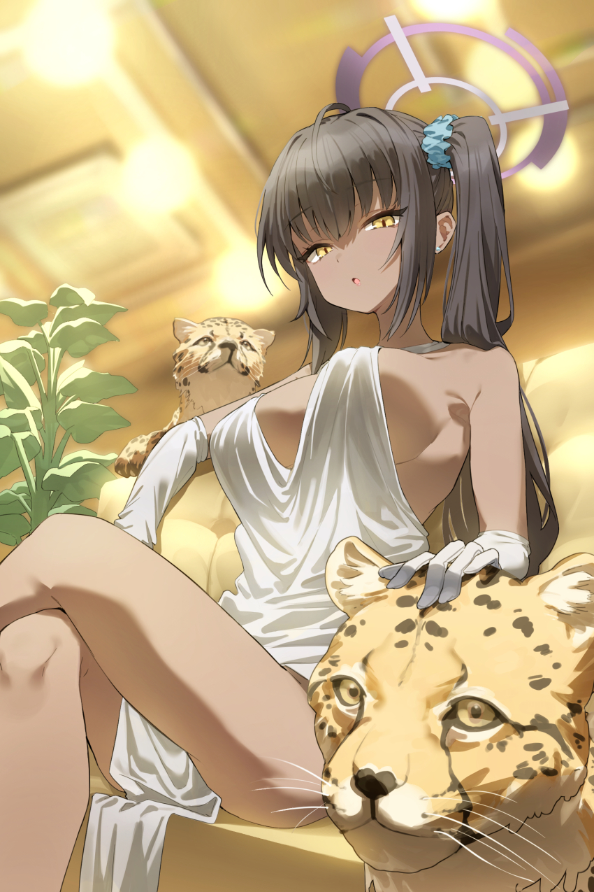 1girl absurdres alternate_costume animal applepie_(12711019) bare_legs bare_shoulders black_hair blue_archive blurry blurry_background blush breasts cheetah crossed_legs dark-skinned_female dark_skin dress elbow_gloves gloves hair_ornament hair_scrunchie highres indoors karin_(blue_archive) large_breasts looking_at_viewer one_side_up parted_lips petting plant scrunchie sitting white_dress yellow_eyes