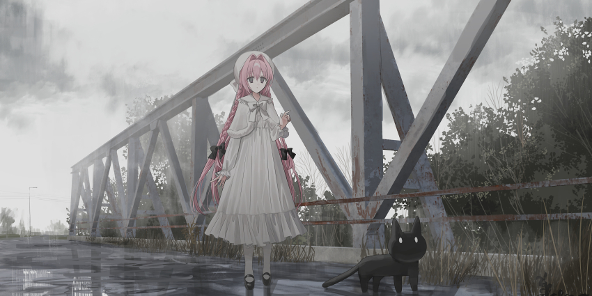 1girl absurdres animal beret black_bow black_cat black_shoes bow braid capelet cat chihuri cloud collared_dress commentary_request dress frilled_shirt_collar frills fur-trimmed_capelet fur_trim hair_between_eyes hair_bow hair_intakes hand_up hat highres lamppost long_hair long_sleeves nea_(chihuri) original outdoors pantyhose pink_hair power_lines puffy_long_sleeves puffy_sleeves purple_eyes shoes sky sleeves_past_wrists solo standing twin_braids very_long_hair water white_bow white_capelet white_dress white_hat white_pantyhose