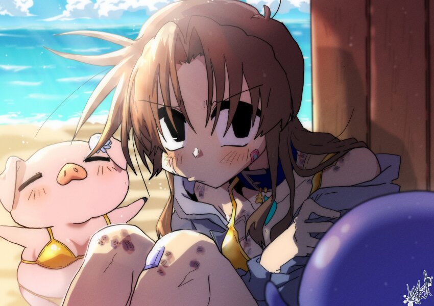 1girl absurdres animal bandaid bandaid_on_cheek bandaid_on_face beach bikini black_eyes blue_collar bruise bruise_on_chest bruise_on_knee bruise_on_shoulder closed_mouth cloud collar collarbone creature ed-chan_(edkuroki) edkuroki gauze gauze_on_cheek gauze_on_chest gauze_on_knee grey_jacket hair_intakes highres injury jacket light_blush light_particles long_hair looking_to_the_side messy_hair open_clothes open_jacket original pig pout sand sitting sky swimsuit water yellow_bikini