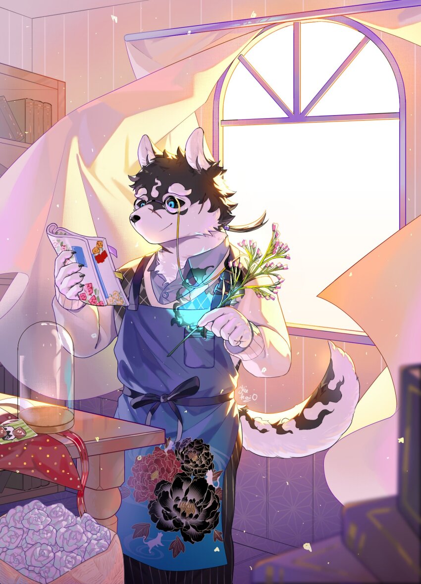 apron blue_eyes book book_stack bookshelf curtains floral_print glasses highres holding holding_book kiekoio light_smile masanori_(housamo) multiple_scars peony_print purple_background scar tokyo_houkago_summoners window