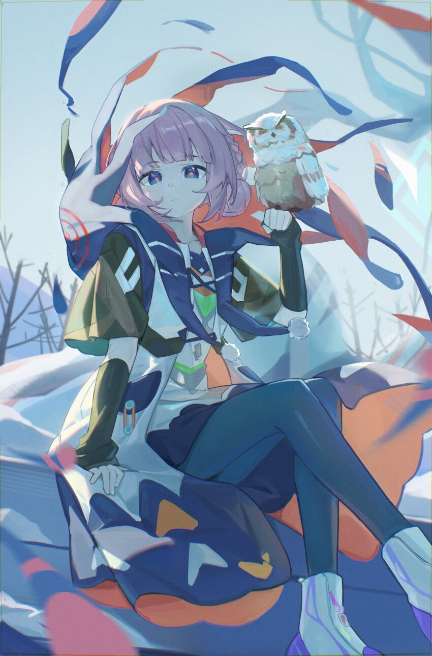 1girl :| absurdres ankle_boots bird black_leggings boots closed_mouth coat detached_sleeves double_bun forest full_body hair_bun highres hood hood_down kaf_(kamitsubaki_studio) kamitsubaki_studio leggings multicolored_coat multicolored_eyes multicolored_shirt nature outdoors owl pink_hair pom_pom_(clothes) shirt sitting usagi_(usagiusgi628) white_coat white_shirt