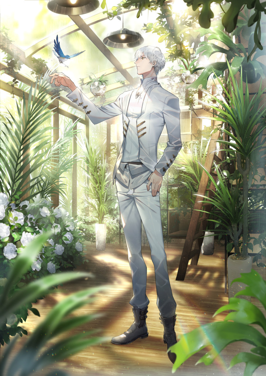 1boy bird black_boots blurry blurry_foreground boots bush ceiling_light closed_mouth depth_of_field flower greenhouse hand_up highres indoors jacket ladder light_and_night_love long_sleeves male_focus official_art pants plant potted_plant rose ryota-h shirt short_hair solo standing white_flower white_hair white_jacket white_pants white_rose white_shirt wooden_floor yellow_eyes