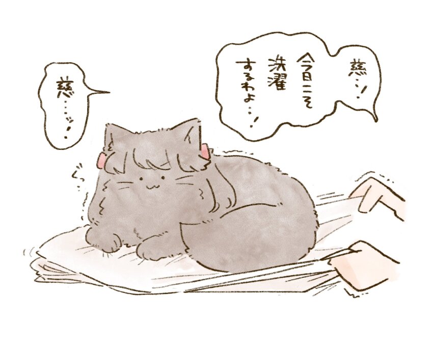 ._. 1girl :3 animal animal_focus animalization bed_sheet cat commentary_request disembodied_hand fujishima_megumi heavy highres holding holding_sheet link!_like!_love_live! love_live! mashikaku_(ma4kaku10fu) otomune_kozue pulling simple_background solo_focus speech_bubble translation_request trembling two_side_up v-shaped_eyebrows virtual_youtuber white_background
