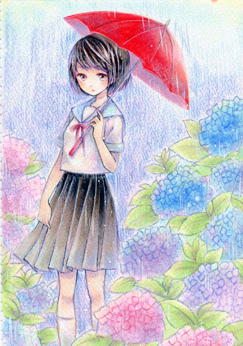 1girl absurdres amu_(m_aa) black_eyes black_hair black_skirt blue_flower blue_sailor_collar bob_cut breasts closed_mouth commentary_request expressionless feet_out_of_frame flower highres holding holding_umbrella hydrangea kneehighs neck_ribbon original outdoors painting_(medium) pink_flower purple_flower rain red_ribbon ribbon sailor_collar sailor_shirt school_uniform serafuku shirt short_hair short_sleeves skirt small_breasts socks solo traditional_media umbrella watercolor_(medium) white_shirt white_socks