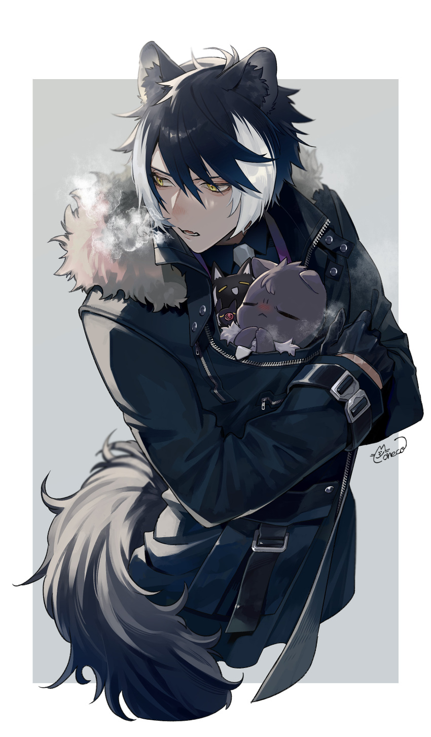 1boy absurdres animal animal_ear_fluff animal_ears animal_hug black_coat black_gloves black_hair black_shirt border breath cat coat cold collared_shirt cropped_legs fangs fur-trimmed_coat fur_trim gloves grey_background grey_cat hair_between_eyes half_gloves highres holostars jackal_boy jackal_ears jackal_tail kageyama_shien koyama_(kageyama_shien) looking_back lower_teeth_only male_focus moneko multicolored_hair nakayama_(kageyama_shien) necktie nekoyama_shien outside_border parted_lips shirt simple_background skin_fangs solo tail teeth two-tone_hair virtual_youtuber white_border white_hair white_necktie yellow_eyes zipper