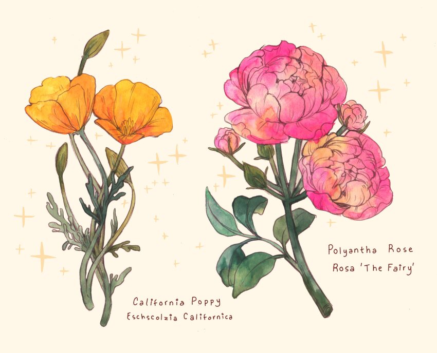 english_text flower flower_focus highres leaf lianne_pflug no_humans original pink_flower pink_rose poppy_(flower) realistic rose sparkle traditional_media yellow_flower