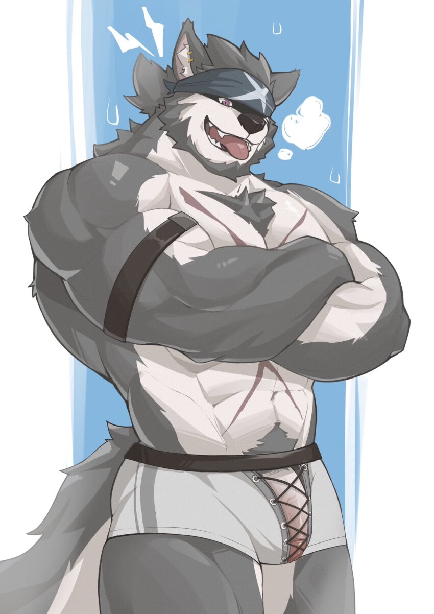 1boy abs animal_ears another_eidos-r bara bicep_strap blue_headband boxers commentary cross_scar dios_nennen english_commentary fangs flaccid full_house_(another_eidos) furry furry_male headband highres looking_at_viewer male_focus male_underwear muscular muscular_male open_mouth pectorals penis scar scar_on_chest scar_on_stomach sweat tail tongue tongue_out topless_male underwear white_male_underwear wolf_boy wolf_ears wolf_tail