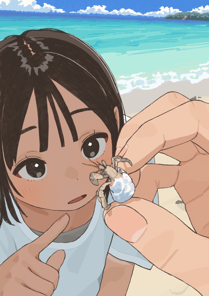 1girl 1other absurdres animal beach black_hair blue_sky brown_eyes center-flap_bangs close-up commentary_request day fingernails hermit_crab highres holding holding_animal looking_at_animal mashiro_ka ocean original pointing shirt sky white_shirt