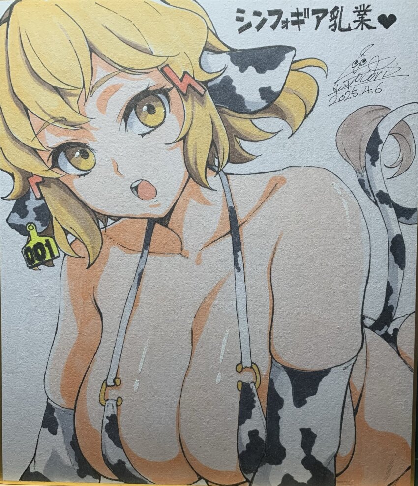 1girl animal_ears animal_print bikini blonde_hair breasts cleavage cototiworld cow_ears cow_horns cow_print cow_print_gloves cow_tail dated ear_tag fake_animal_ears fake_horns fake_tail gloves highres horns large_breasts looking_at_viewer medium_hair open_mouth photo_(medium) print_gloves senki_zesshou_symphogear shikishi signature simple_background skindentation solo swimsuit tachibana_hibiki_(symphogear) tail teeth traditional_media upper_body white_background yellow_eyes