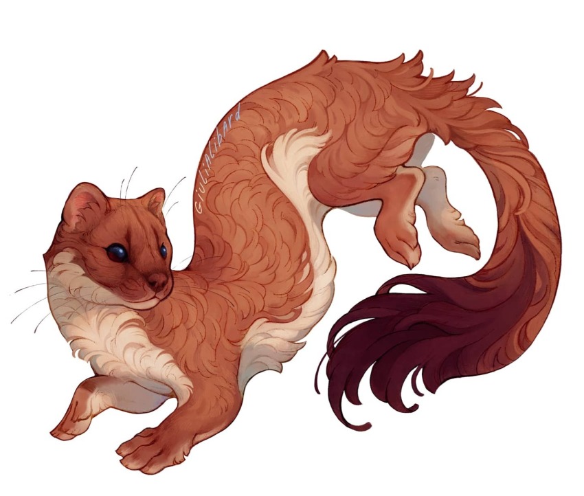 animal animal_ear_fluff animal_focus brown_eyes brown_fur fluffy full_body giulialibard highres no_humans original realistic signature simple_background solo weasel whiskers white_background