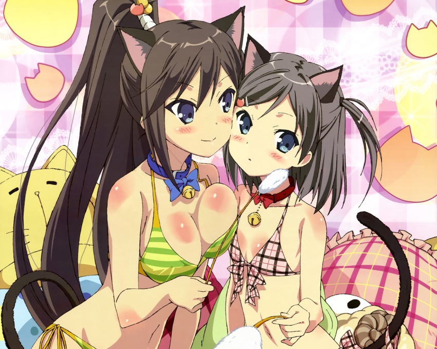 10s 2girls animal_ears bell bikini black_hair blue_eyes breast_press breasts brown_hair cat cat_ears cat_tail cat_teaser cheek-to-cheek cleavage collar female_focus flat_chest hair_ornament hairpin heads_together hentai_ouji_to_warawanai_neko. huge_filesize jingle_bell kantoku lamb long_hair megami_magazine multiple_girls neck_bell official_art onoda_masahito panties pillow plaid_bikini plaid_clothes ponytail scan sheep short_hair siblings side-tie_bikini_bottom side-tie_panties sisters small_breasts striped_bikini striped_clothes swimsuit tail tsutsukakushi_tsukiko tsutsukakushi_tsukushi twintails underwear