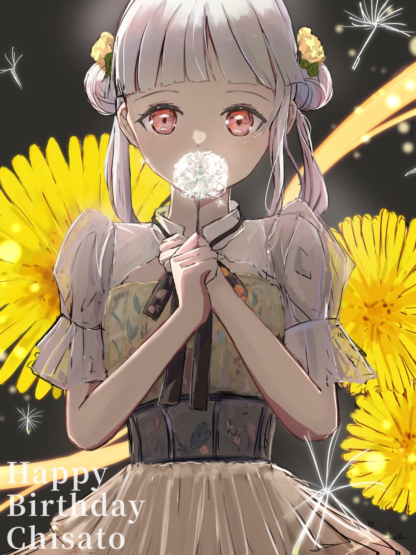 1girl absurdres arashi_chisato arched_bangs black_background character_name commentary_request costume_request covering_own_mouth dandelion dandelion_seed double_bun dress floral_background flower flower_over_mouth hair_bun hair_flower hair_ornament happy_birthday highres holding holding_flower kiin_(kiin_00) long_hair love_live! love_live!_superstar!! red_eyes see-through_clothes see-through_sleeves solo twintails upper_body white_hair yellow_dress yellow_flower