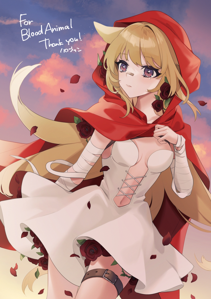 1girl absurdres animal_ears bandaged_arm bandages bandaid bandaid_on_face bandaid_on_nose blonde_hair breasts cape chest_harness commission commissioner_upload crying dress flower harness harochan highres legband long_hair looking_to_the_side medium_breasts non-web_source original parted_lips purple_eyes red_cape red_flower red_petals red_rose rose sad skeb_commission solo sunset white_dress wolf_ears