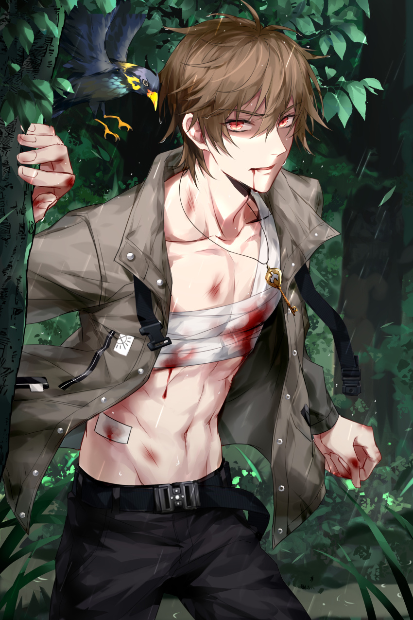 1boy abs absurdres animal bandages bird blood blood_on_face bloody_bandages brown_eyes brown_hair devil_heavens highres jacket jewelry jungle key leaf looking_at_viewer luke_pearce_(tears_of_themis) nature necklace open_clothes open_jacket outdoors ryona short_hair solo tears_of_themis tree