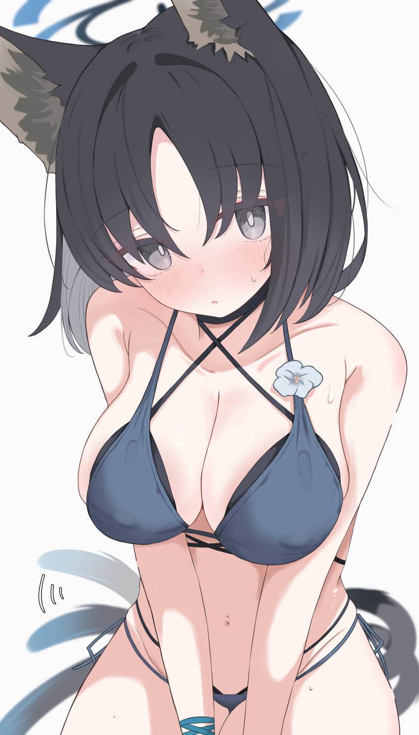 1girl absurdres animal_ears bikini black_eyes black_hair blue_archive blue_bikini blue_halo blush breasts cat_ears cat_girl cat_tail collarbone commentary_request halo highres kikyou_(blue_archive) kikyou_(swimsuit)_(blue_archive) large_breasts looking_at_viewer multiple_tails nui_(nuinui0300) official_alternate_costume solo swimsuit tail