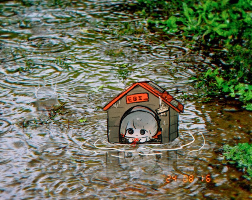 1girl dated doghouse highres looking_at_viewer original outdoors pankichi_anko photo_background plant rain ripples seven-segment_display solo tareme timestamp water wide_shot