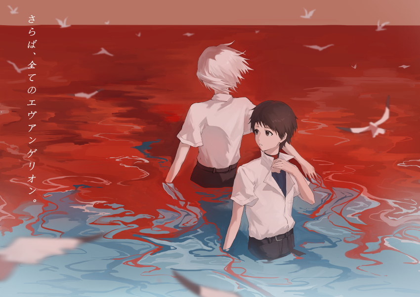 2boys absurdres belt bird black_belt black_pants blue_undershirt brown_eyes brown_hair collared_shirt evangelion:_2.0_you_can_(not)_advance guan_xing_(user_cjtc3287) highres ikari_shinji looking_back male_focus multiple_boys nagisa_kaworu neon_genesis_evangelion pants parted_lips rebuild_of_evangelion red_ocean school_uniform seagull shirt short_hair tokyo-3_middle_school_uniform translation_request wading white_hair white_shirt