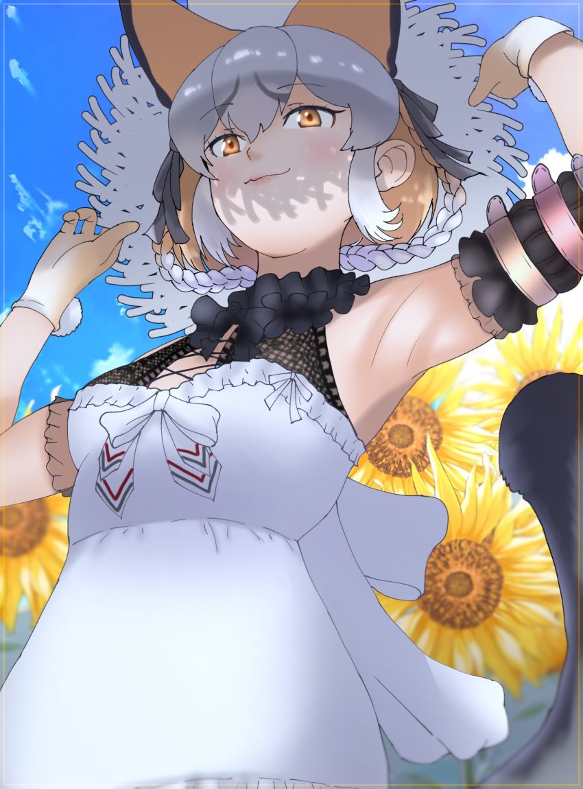 1girl animal_ear_fluff animal_ears belt cats_yone dress flower fox_ears fox_girl fox_tail grey_hair hat highres island_fox_(kemono_friends) kemono_friends kemono_friends_v_project long_hair looking_at_viewer multicolored_hair orange_eyes orange_hair ribbon smile solo summer sunflower tail virtual_youtuber