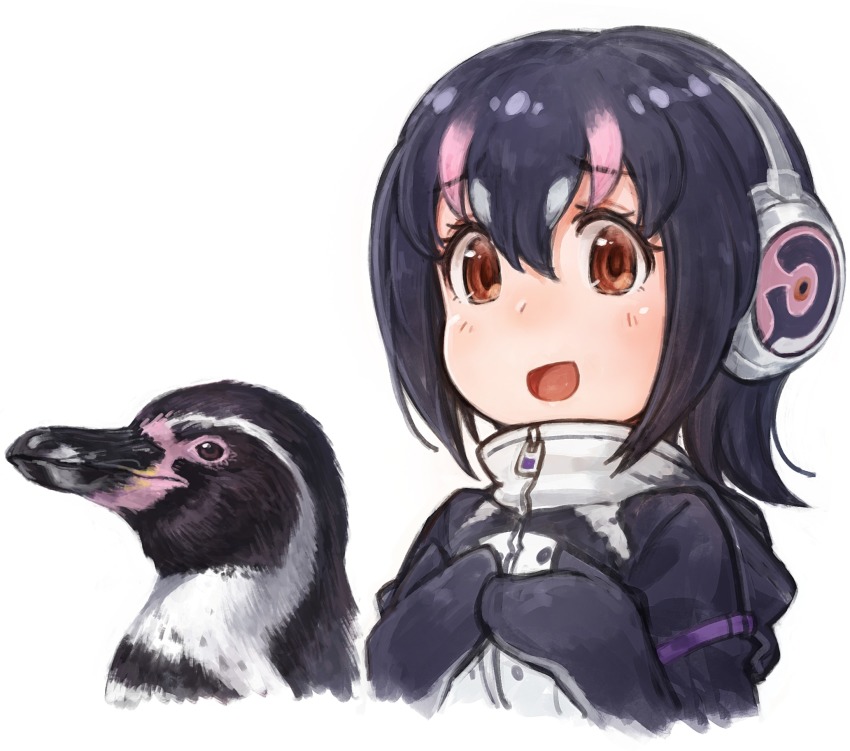 1girl :d animal armband bird black_hair breasts brown_eyes creature_and_personification grape-kun hair_between_eyes hands_on_own_chest headphones highres humboldt_penguin humboldt_penguin_(kemono_friends) kemono_friends lain looking_at_viewer medium_breasts multicolored_hair open_mouth penguin personification pink_hair simple_background smile two-tone_hair white_background zipper_pull_tab
