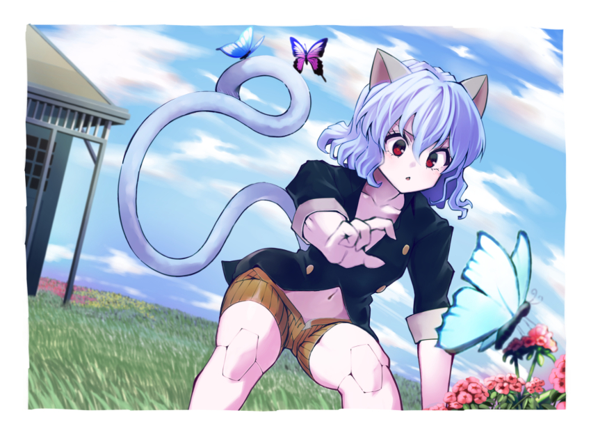 1girl animal_ears black_jacket border bug butterfly cloud fewer_digits flower highres hunter_x_hunter insect jacket joints navel neferpitou open_mouth outdoors red_eyes sky solo white_border white_hair white_tail yagisawa_teru