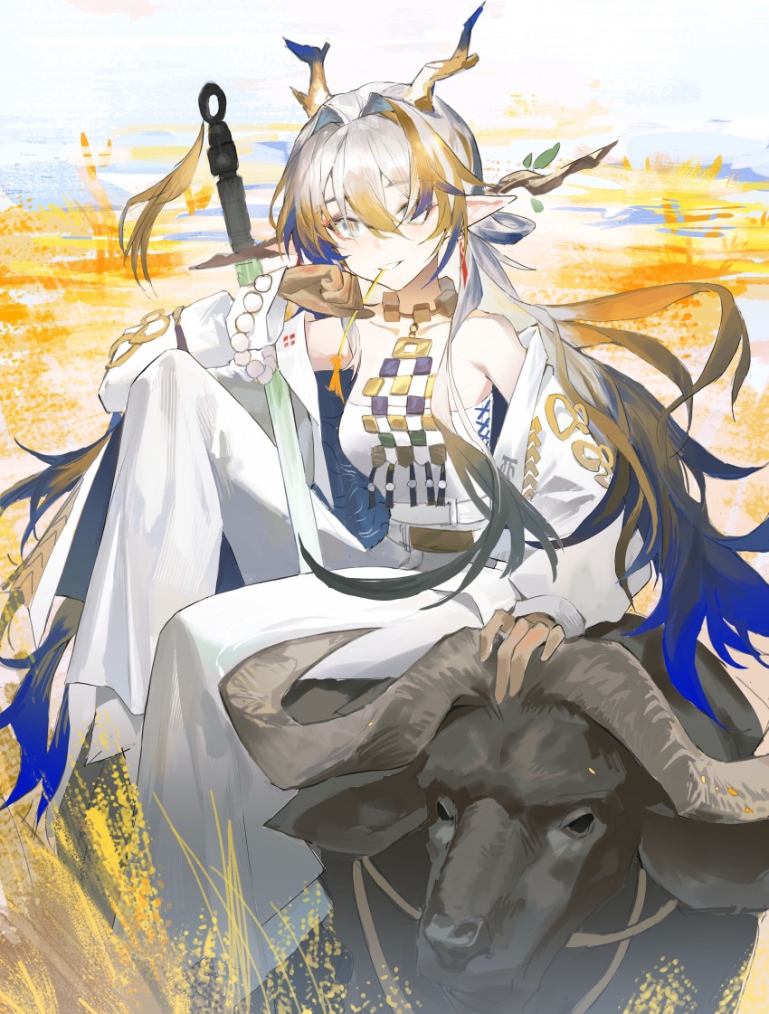 1girl absurdres arknights bare_shoulders blonde_hair blue_hair dabaijiang_memeda dragon_girl dragon_horns earrings foot_out_of_frame grin hair_between_eyes hair_intakes highres horns jacket jewelry jian_(weapon) long_hair long_sleeves mouth_hold multicolored_hair off_shoulder pants pointy_ears riding riding_animal shirt shu_(arknights) sidesaddle smile solo stalk_in_mouth strapless strapless_shirt tube_top water_buffalo wheat wheat_field white_jacket white_pants yellow_horns