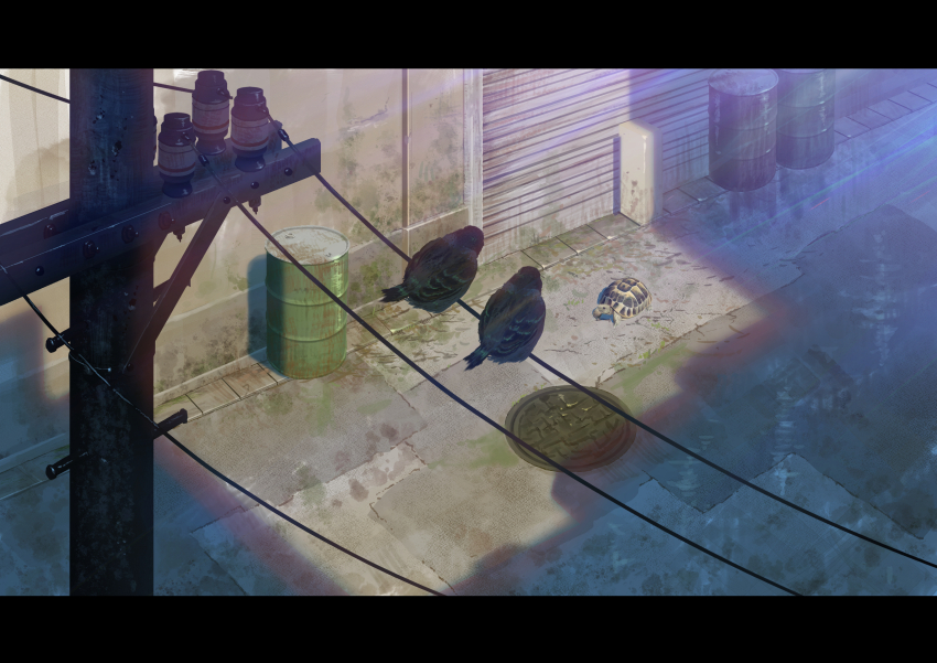absurdres animal animal_focus bird building drum_(container) grate highres no_humans original outdoors power_lines scenery sewer_grate shade sumassha_t_t tortoise turtle utility_pole
