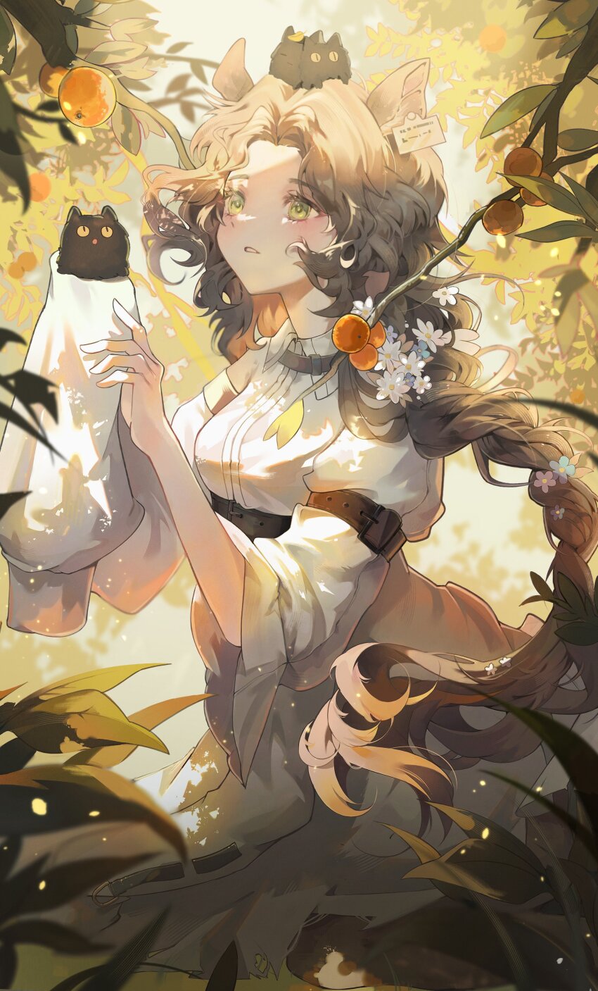 1girl absurdres animal_ears asymmetrical_sleeves braid braided_ponytail brown_hair carbuncle_(reverse:1999) centaur collared_shirt cowboy_shot creature_on_hand creature_on_head day deer_ears deer_girl ear_tag flower food forest fruit grass green_eyes hair_flower hair_ornament hands_up highres jessica_(reverse:1999) long_hair looking_up nature on_grass orange_(fruit) orange_tree outdoors parted_lips popo_07274 reverse:1999 shirt single_sleeve_past_fingers sitting solo sunlight taur tree very_long_hair white_flower white_shirt