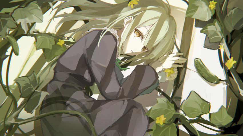 1girl absurdres bang_dream! bang_dream!_it&#039;s_mygo!!!!! blunt_bangs chinese_commentary commentary_request cucumber dress feet_out_of_frame flower from_above green_hair green_ribbon grey_dress hands_up highres holding holding_flower knee_up leaf long_dress long_hair long_sleeves looking_at_viewer lying monnku neck_ribbon on_side parted_bangs parted_lips plant puffy_long_sleeves puffy_sleeves ribbon shadow sideways_glance solo vines wakaba_mutsumi white_sleeve_cuffs window_shadow yellow_eyes yellow_flower