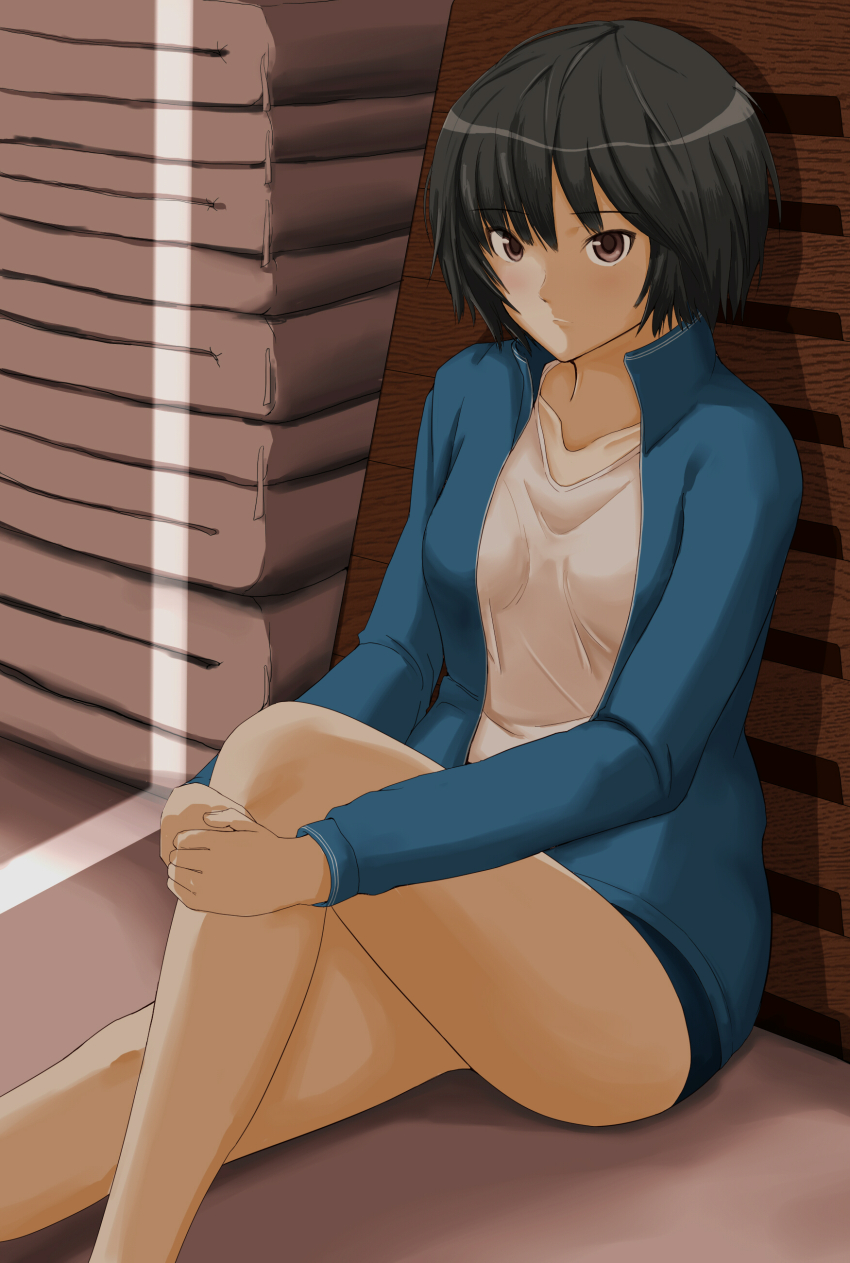 1girl absurdres amagami black_eyes black_hair blue_buruma blue_jacket buruma closed_mouth gym_shirt gym_storeroom gym_uniform hands_on_own_leg highres jacket looking_at_viewer mat nanasaki_ai on_floor saitou_shouki shirt short_hair sitting solo thighs track_jacket vaulting_horse white_shirt